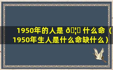 1950年的人是 🦊 什么命（1950年生人是什么命缺什么）